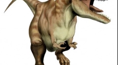 Albertosaur